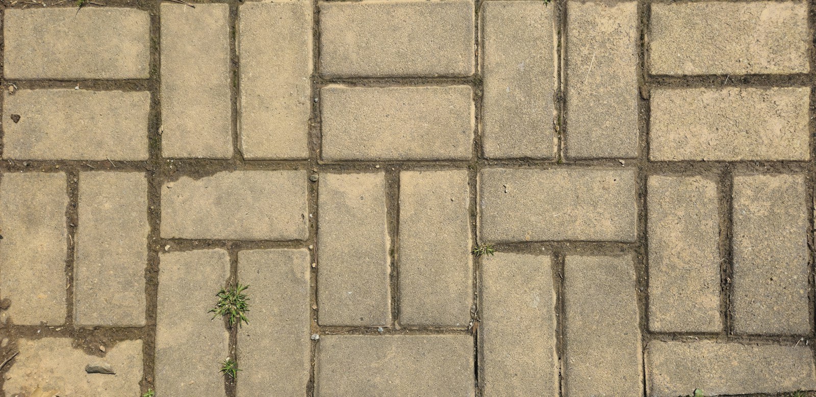 Block Paving Cleaning & Sealing on a UK home - photo 6