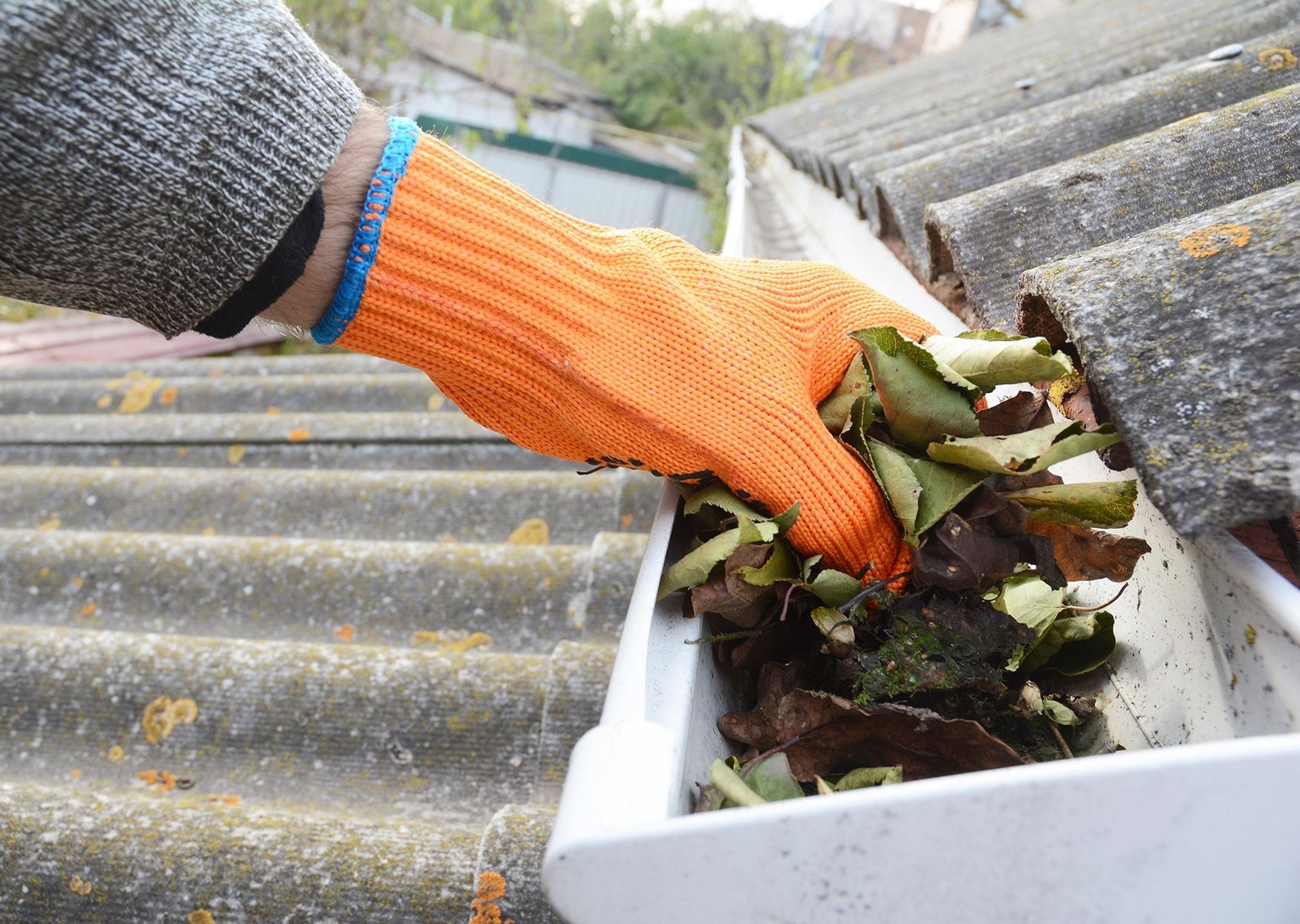 Gutter Cleaning on a UK home - photo 3